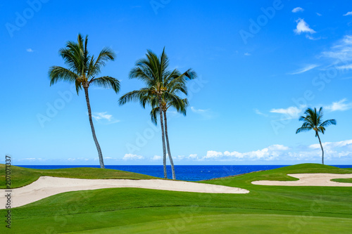 Sunny day on a tropical golf course fairway with palm trees, sand traps, blue pacific ocean, and blue sky and white clouds in the background 