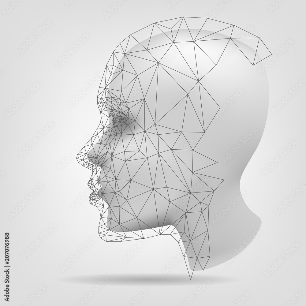 mannelijk achterlijk persoon Graf Stylized human head, polygonal mesh, 3d modeling Stock Vector | Adobe Stock
