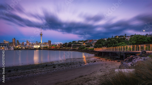 Auckland city from Westhaven Marina photo