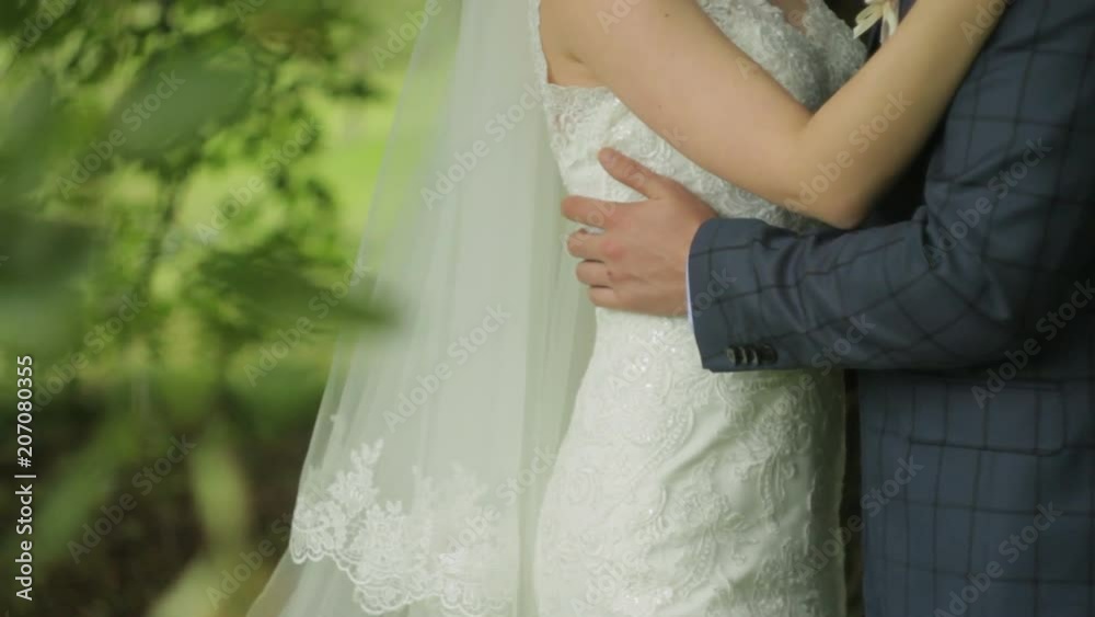 A young bride is hugging her lover. Loving couple hugging each other in a park among green leaves. A young bride is hugging her lover. Loving couple hugging each other in a park among green leaves.