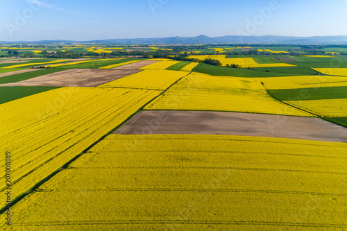 Aerial view on colza field