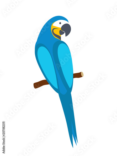 Blue macaw parrot. Isolated on white background. Vector illustration.