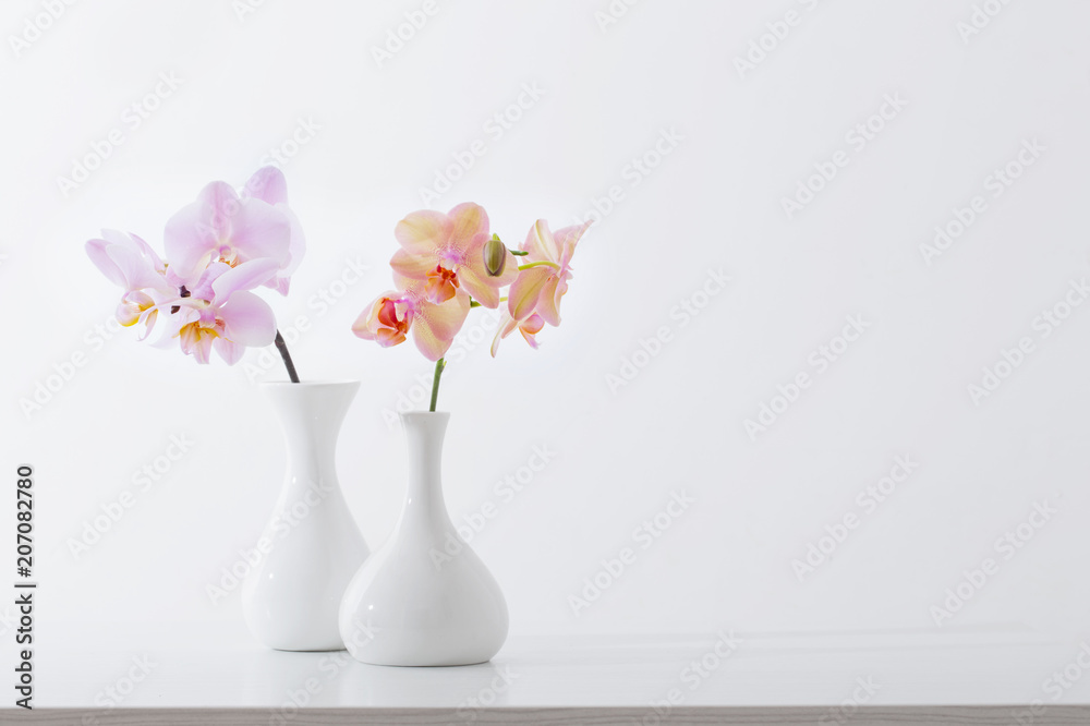 beautiful orchids in white vase on white table beautiful orchids in white vase on white table