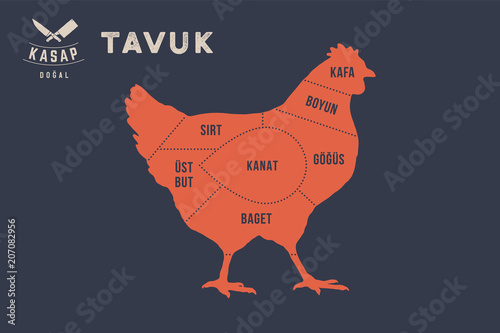 Meat cuts. Poster Butcher diagram and scheme - Tavuk, Chicken. Typographic with the names of parts of meat in Turkish. Graphic design for butcher shop, restaurant poster, banner. Vector Illustration