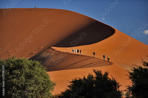 Namibia. Red dunes in the Namib Desert.