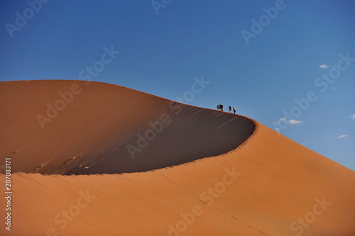 Namibia. Red dunes in the Namib Desert.