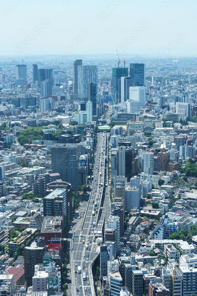 Fototapeta premium 東京風景