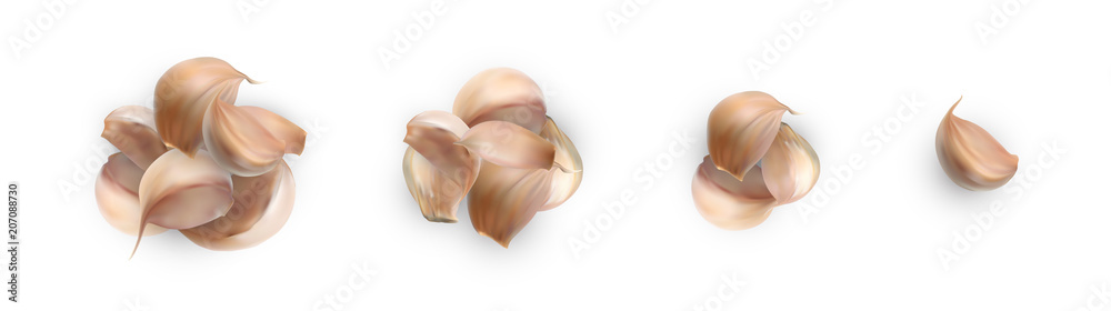 Naklejka premium Realistic Vector Garlic Isolated