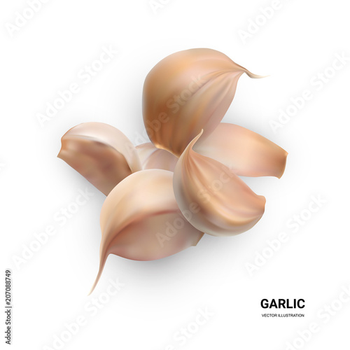 Realistic Vector Garlic Isolated