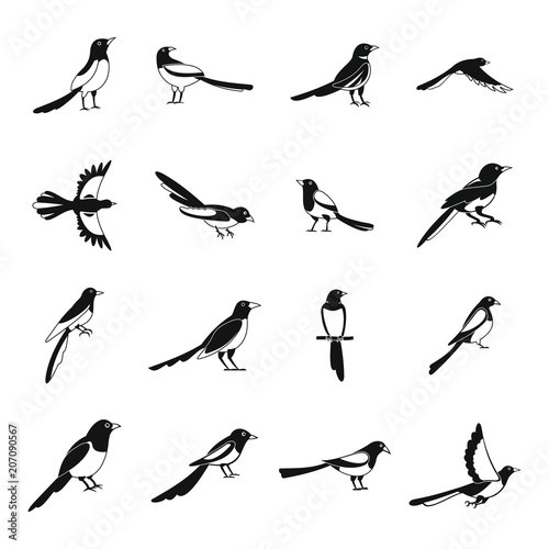 Valokuva Magpie crow bird icons set
