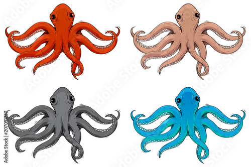 Octopus. Hand drawn colored sketch