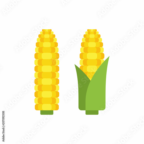 Corn cobs, flat style. isolated on white background