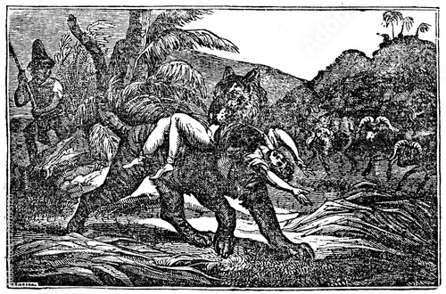 Fototapeta Naklejka Na Ścianę i Meble -  The tiger grabs the boy (from Das Heller-Magazin, March 1, 1834)