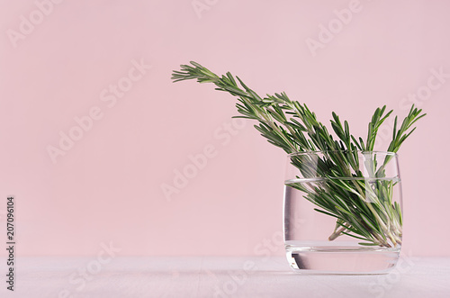 Modern soft light pink pastel home interior with green plant on white wood background.