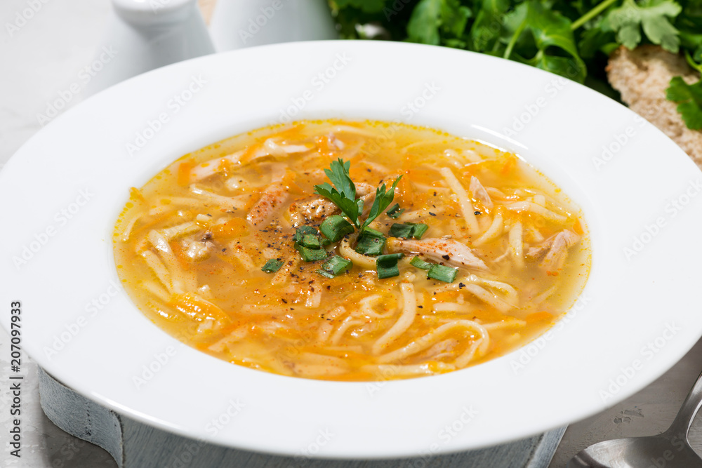 chicken soup with egg noodles, horizontal