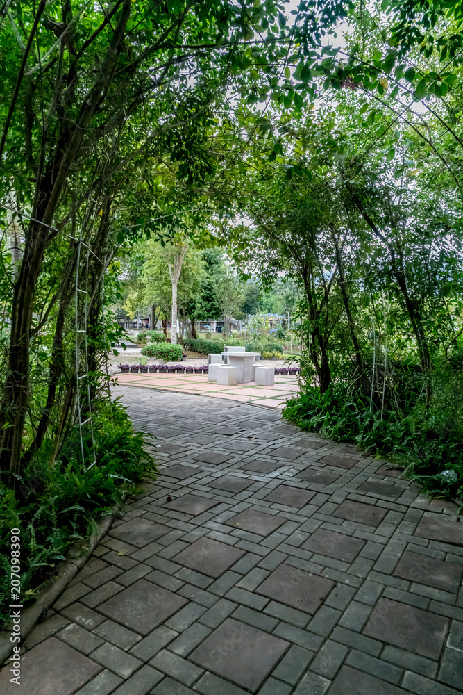 Green tunnel of plants