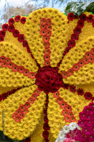 Flowers decoration at the Madeira Flower Festival. Madeira Islands  Portugal