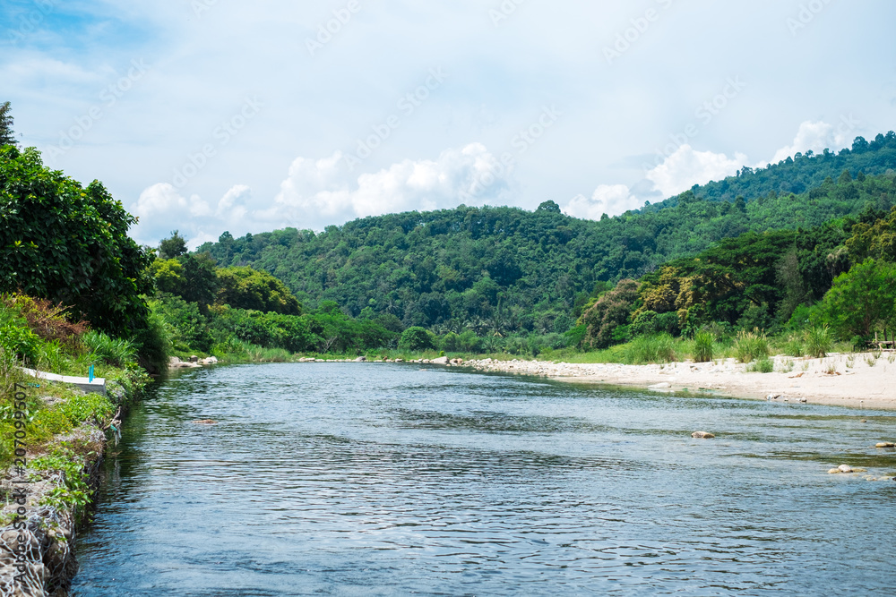 nature background forest river landscape view with stone and tree. image for scenery, summer, lake, countryside, travel concept nature background forest river landscape view with stone and tree. image for scenery, summer, lake, countryside, travel concept
