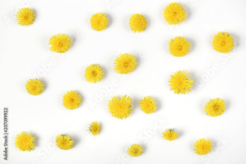 Fototapeta Naklejka Na Ścianę i Meble -  Floral pattern made of yellow dandelion flowers  isolated on white background. Flat lay. Top view.