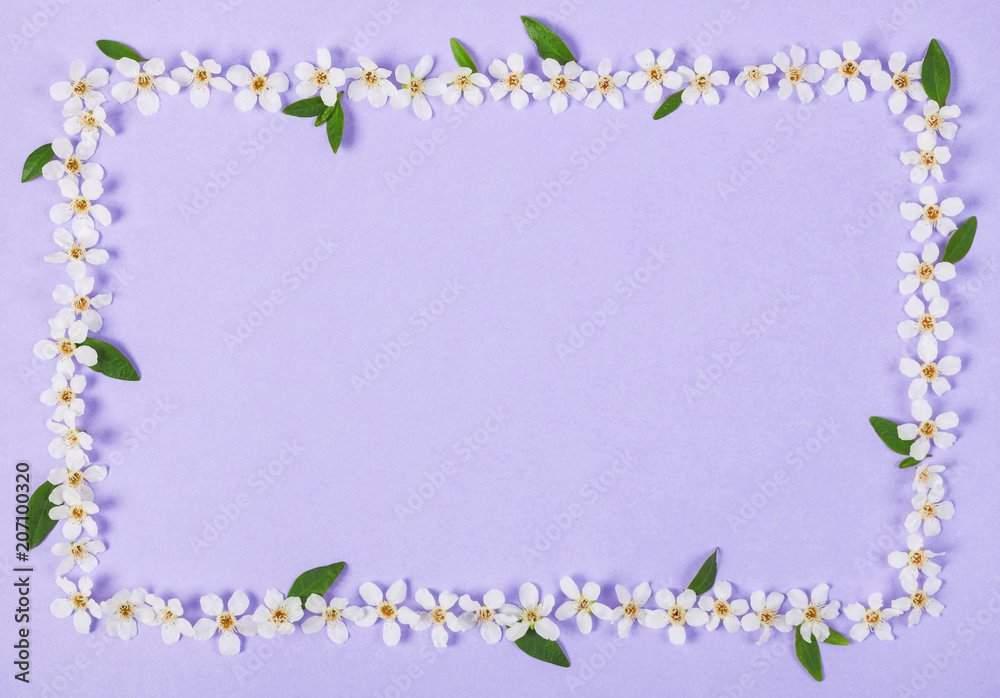 Floral frame made of white spring flowers and green leaves on pastel lilac background. Top view. Flat lay.