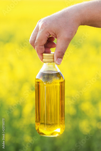 rapeseed oil in bottle in hand on background rape field