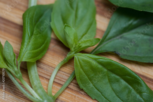 Fresh Green Spinach Leaves as Background close up. Food Ingredients. Food Recipe.