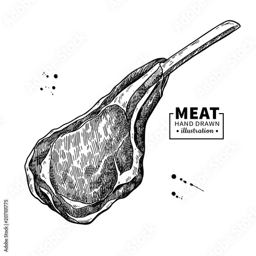 Lamb rib vector drawing. Red meat hand drawn sketch. Engraved raw food illustration.