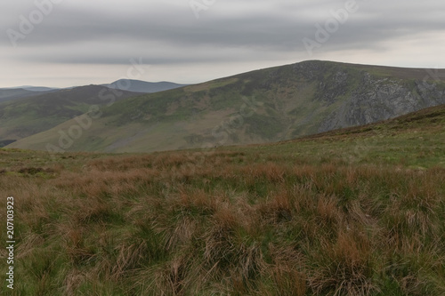 Hiking trail in mountains, field with long grass, dramatic skies, mountain peak