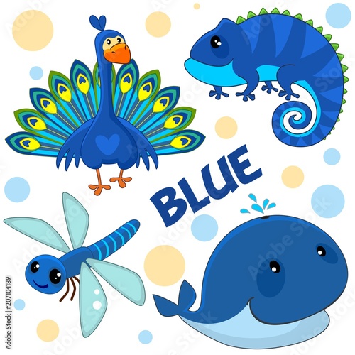 A set of wild animals, birds, reptiles and insects for children and blue design. Images of a peacock, a whale, a dragonfly and a lizard, a chameleon.