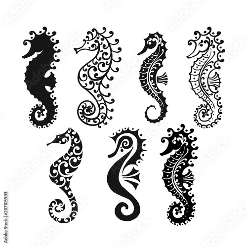 Seahorse collection, sketch for your design