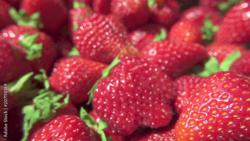 A slow movement of the camera over strawberries with green leaves in a soft focus A slow movement of the camera over strawberries with green leaves in a soft focus