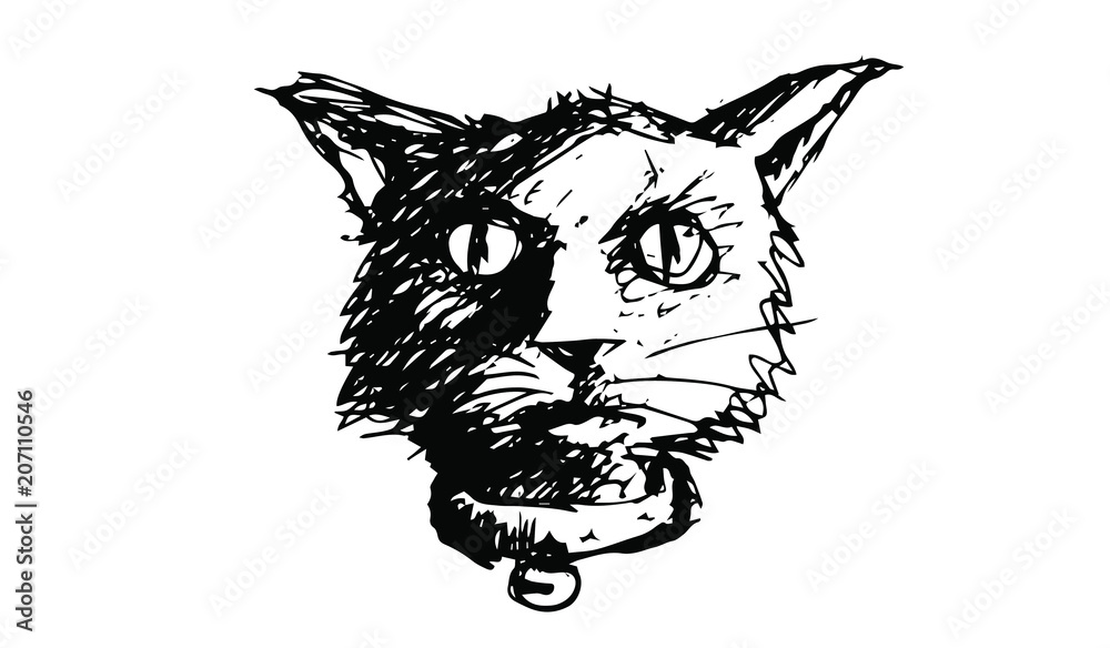 Obraz premium Black Cat