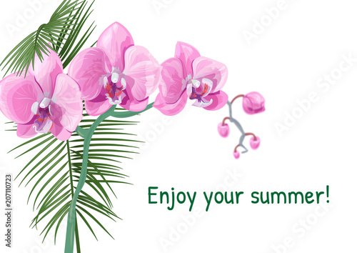 Templat for vacation invitation, horizontal card with pink Phalaenopsis orchid flowers, coconut palm leaf. Tropical plants on white background, vector botanical illustration for design
