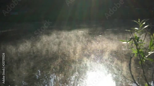 Foggy pond surface, early morning