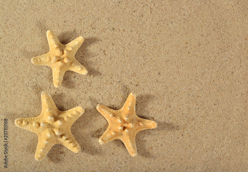 Starfishes close-up on a sand