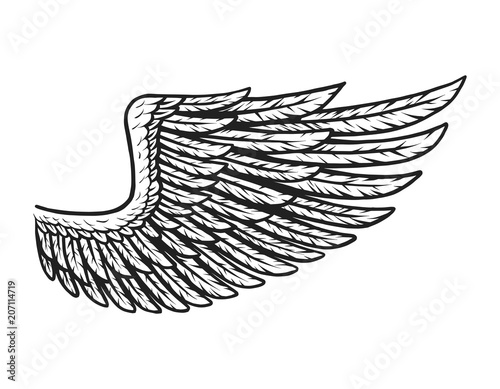 Vintage eagle wing template