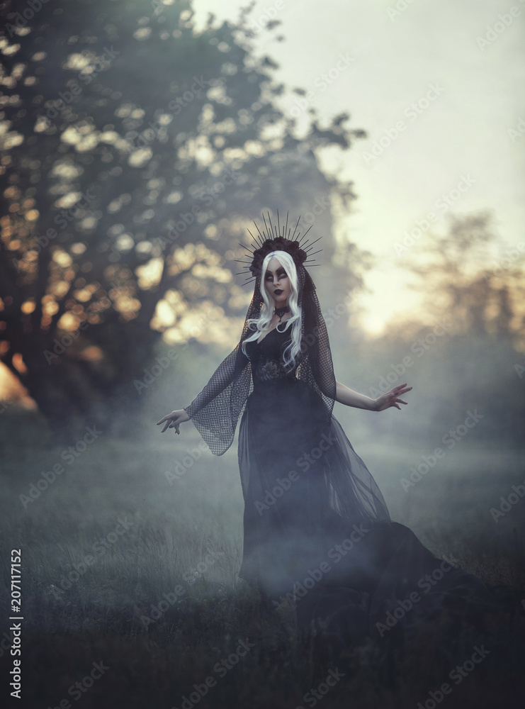 A beautiful woman witch with white hair in a crown and a black veil, walks in a fog. Gothick style. The girl is a black princess in a black gothic dress. The background is a dark forest, bare trees .