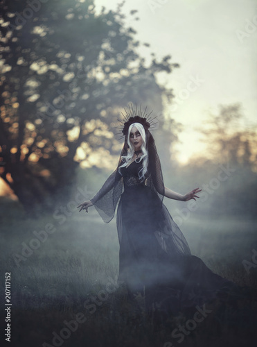 A beautiful woman witch with white hair in a crown and a black veil, walks in a fog. Gothick style. The girl is a black princess in a black gothic dress. The background is a dark forest, bare trees .