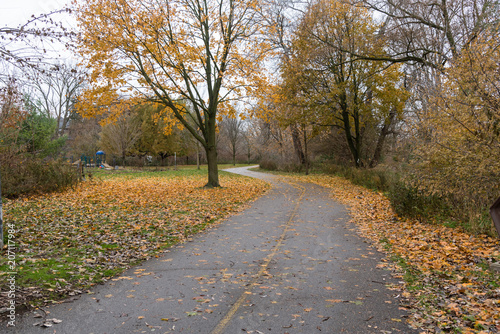 Curving Two Lane Path in a Park on an Overcast Autumn Day.