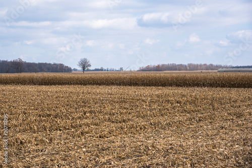 Harvest Time in the Countryside of Ontario on a Late Autumn Day