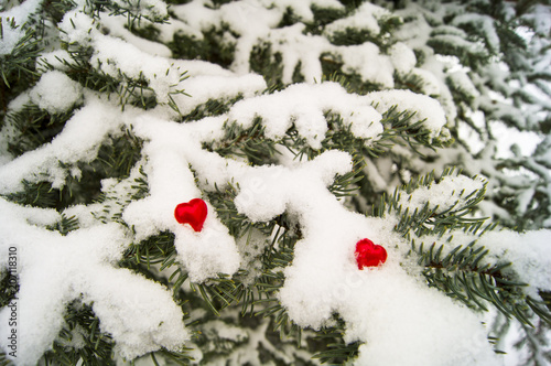 red hearts against a background of a winter tree