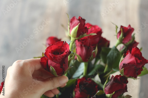 red rose bouquet with copy space.