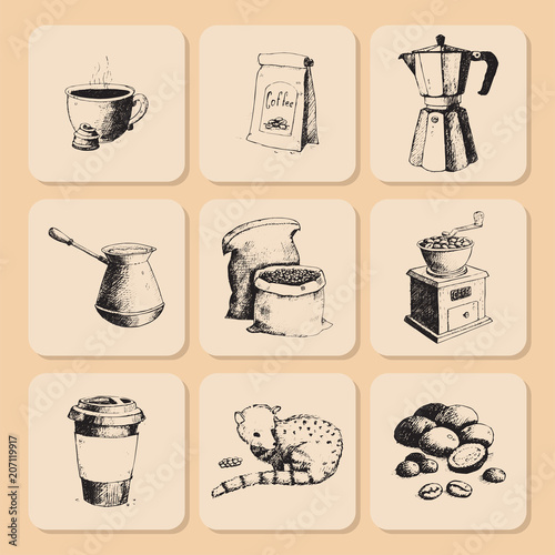 Coffee production hand drawn beans vintage drawing drink retro cafe collectio...