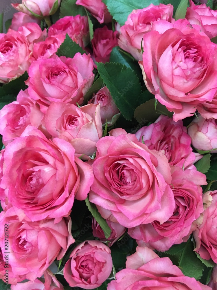flowers flowers
