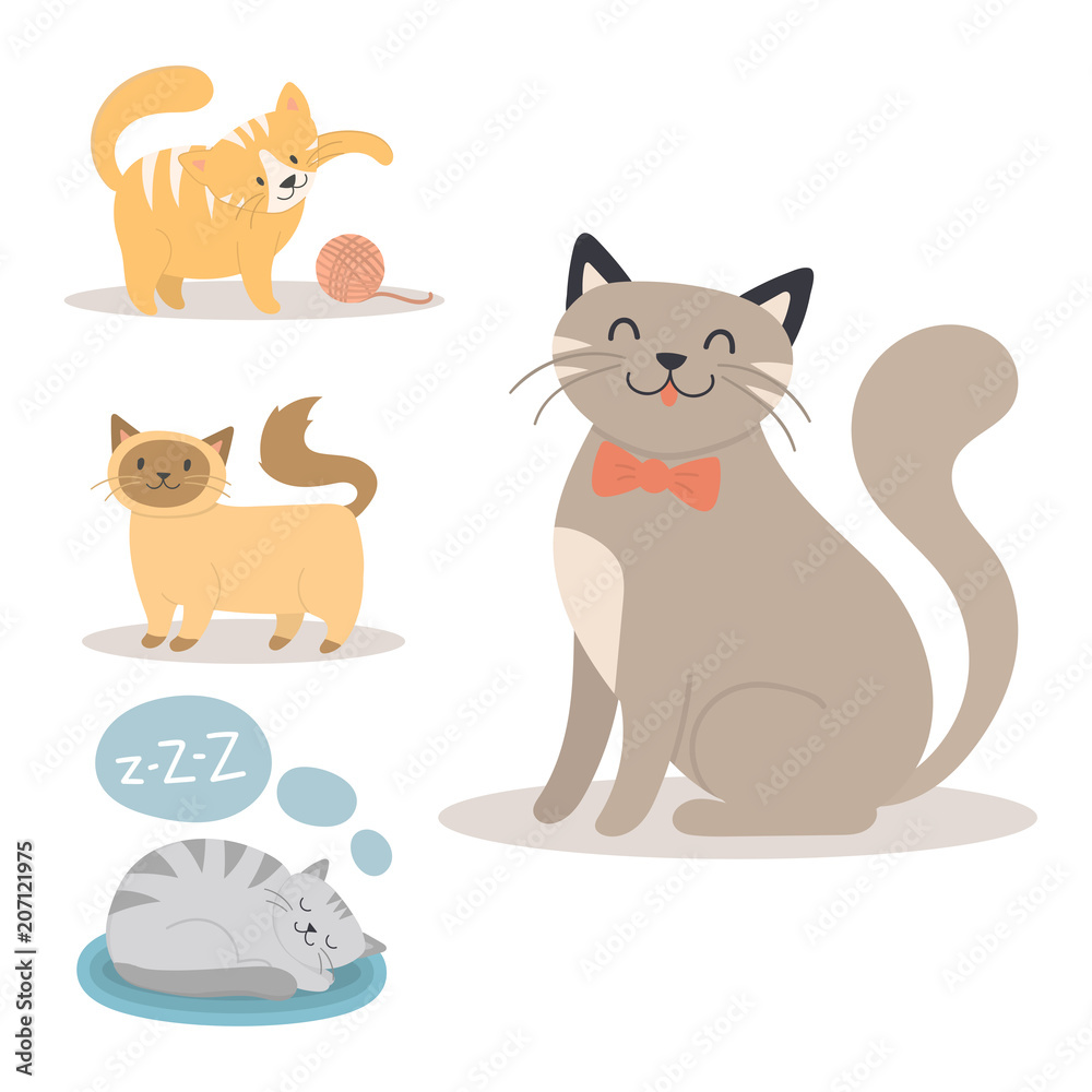 Portrait cat animal sleep pet cute kitten purebred feline kitty domestic fur adorable mammal character vector illustration.