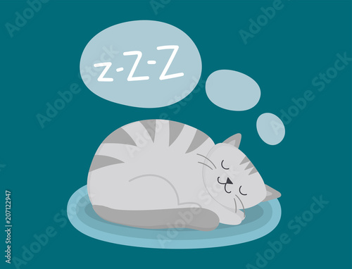 Portrait cat animal sleep pet cute kitten purebred feline kitty domestic fur ...