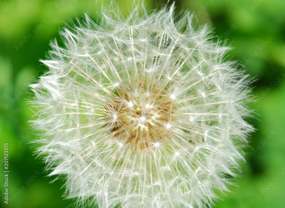 1 1