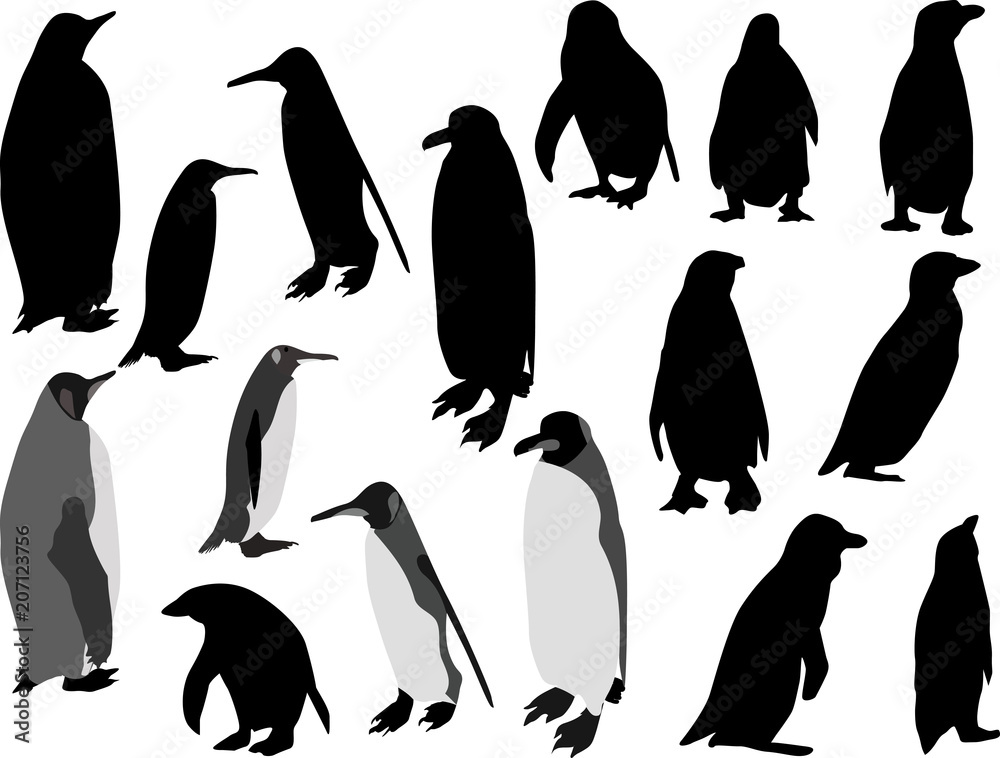 Naklejka premium sixteen penguins isolated on white