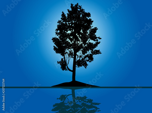 single black pine with reflection on blue