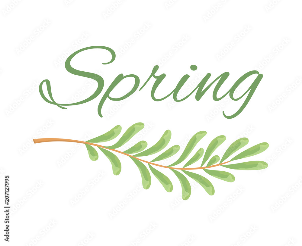 Fototapeta premium Spring and Branch with Tiny Oblong Leaves Poster